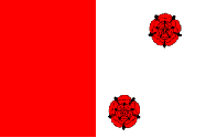 Flag for Pittem