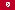 Flag for Tunis